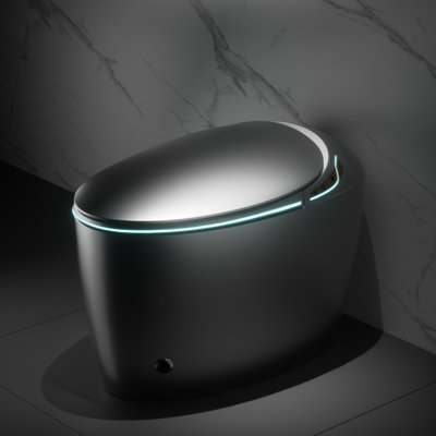 Grey Smart Toilet, Auto Seat Function, Foot Sensor, Move Washing Feature Bathroom Actions, Warm Water & Dryer