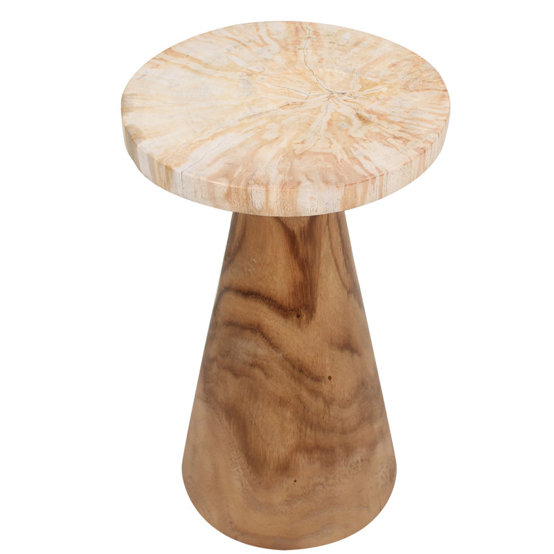 Petrified Wood Pedestal Table, Brown