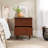 Aleyana 2-Drawer Solid Wood Nightstand-727744040