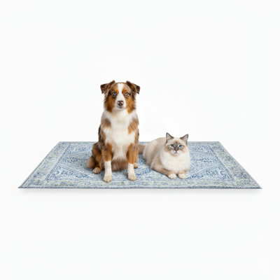 Tapis de lit pour chat lavable The Avalon Society, bleu argenté, 36 x 48 po