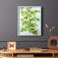 Ivy, reproduction encadrée - bois massif-802993226-802993229