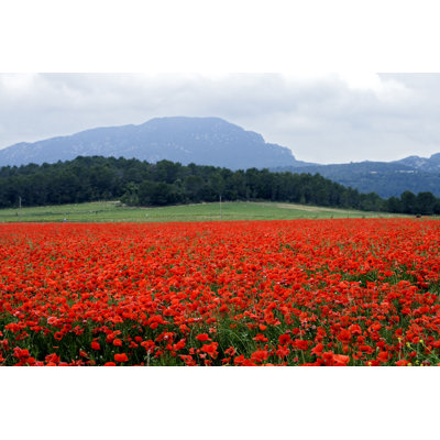«Red with Poppies» par Cybermama - photographie sur toile tendue