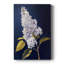 FLORAL Series CLxxx - Galerie Cavas sur mesure-1888195756