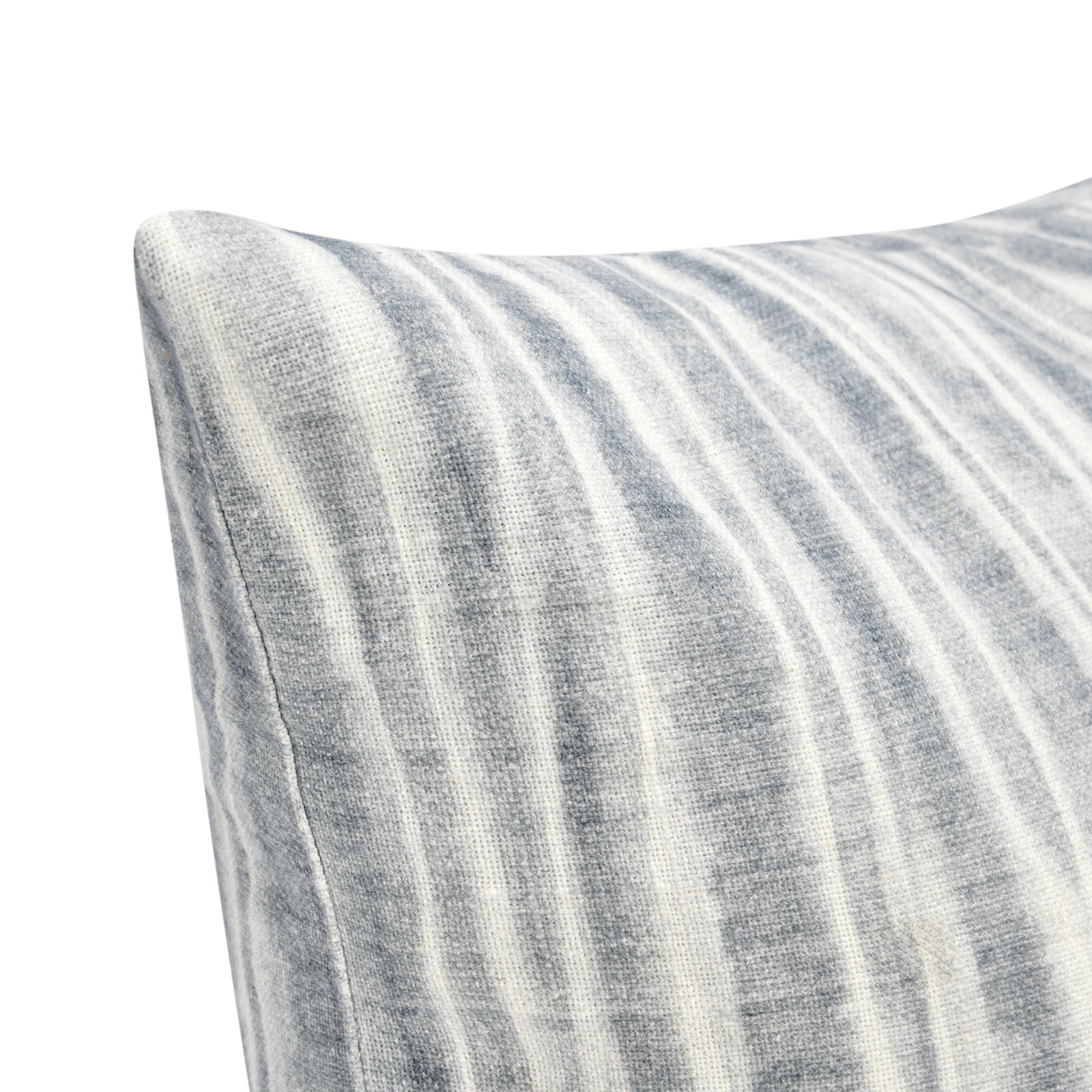 Holston 22" x 22" Cotton Throw Pillow, Blue