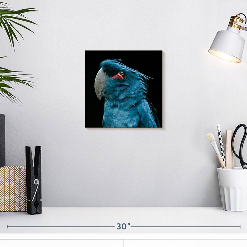 Brampt Blue Bird Portrait, 10" H x 10" W