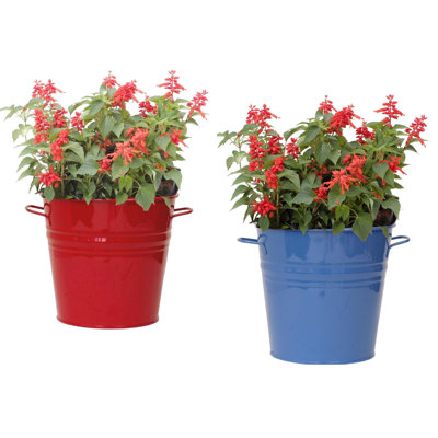 Maynard Metal Pot Planter