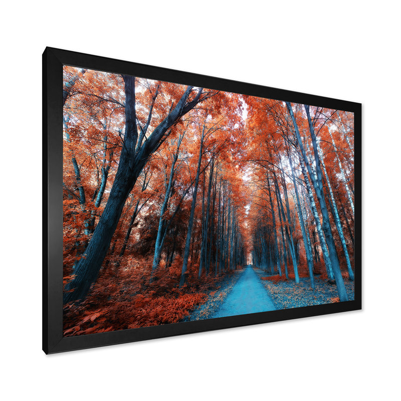 Mystic Orange Fall Forest II - reproduction d'art sur toile traditionnelle, H 34 po x l 44 po x P 1,5 po, Cadre photo noir