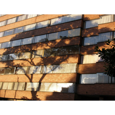 Naturally Urban 1 by Leonardo Segovia - Unframed Photograph