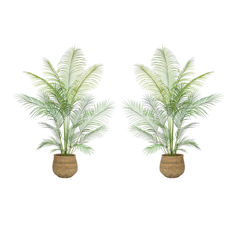 Cairns 5.5' Outdoor UV Rated Kentia Palm Drop-In Trees with Bamboo-Wrapped Cement Pots
