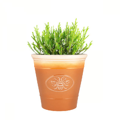 Pot Planter