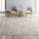 Aleida Oriental Indoor Rug