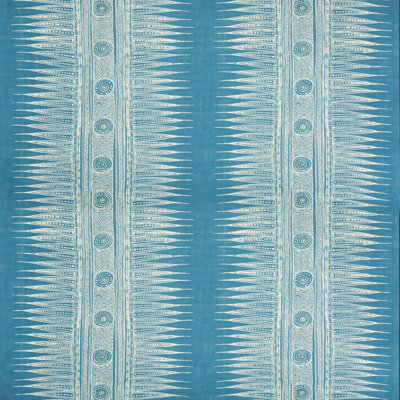 Indian Zag Fabric