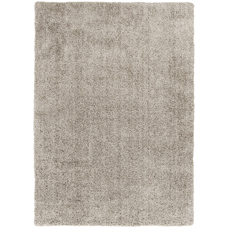 Claude Machine Washable Indoor Shag Area Rug with Non-Skid Backing, Milk and Honey, 5'x7'