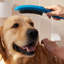Hansgrohe Dog Shower, 3-Spray, 1.75 GPM-68812310