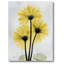 « golden fleur ii », impression sur toile tendue