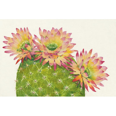 Fleurs du désert I