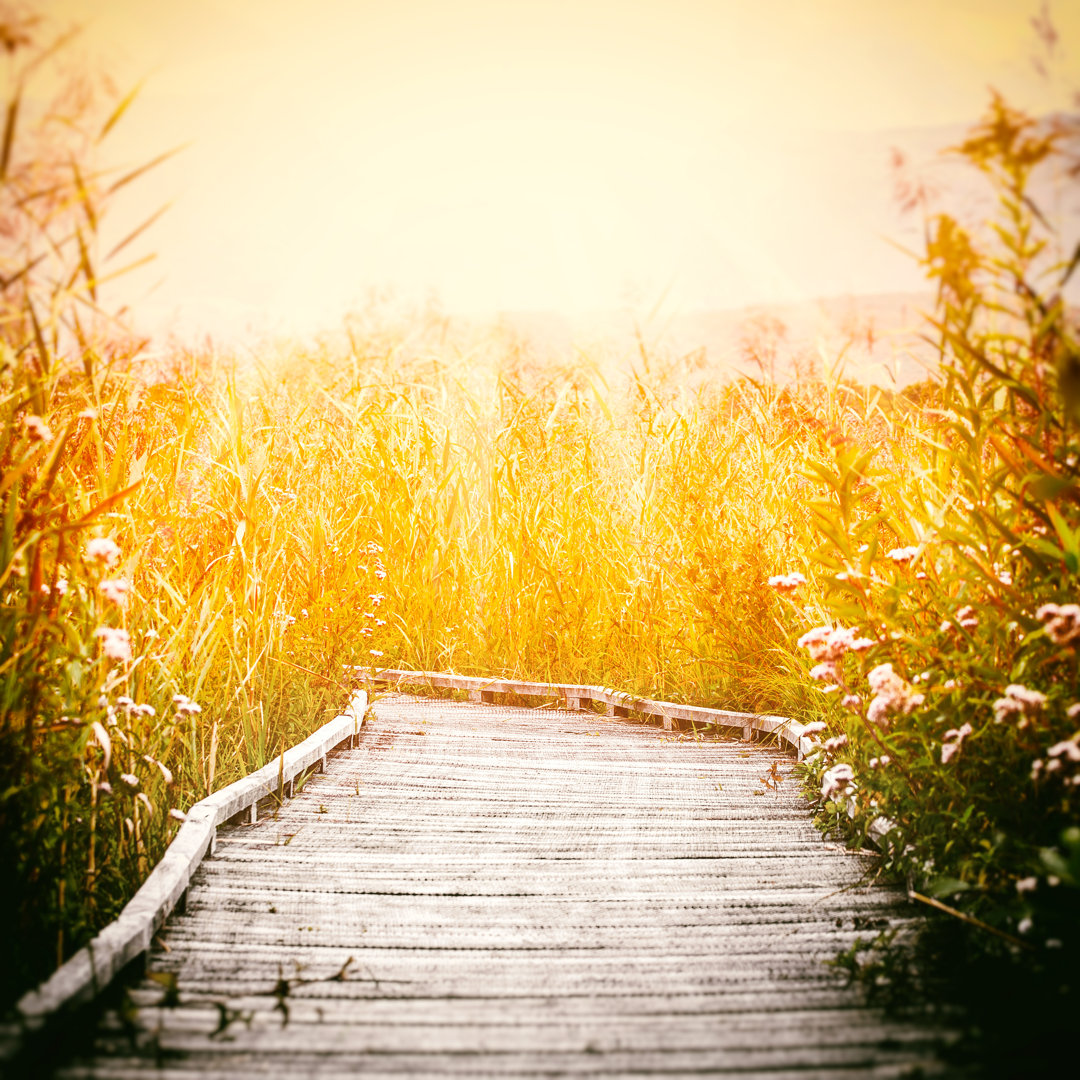 Holzsteg Fußweg Auf Stelzen Sumpf Bei Sonnenuntergang Im Herbst von Gregory_DUBUS - No Frame Print on Canvas