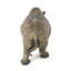 Statue de jardin sud-africain rhinocéros