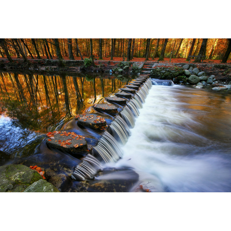 Tollymore Forest Park par Mnieteq - Photographie sur toile tendue, H 8 po x l 12 po