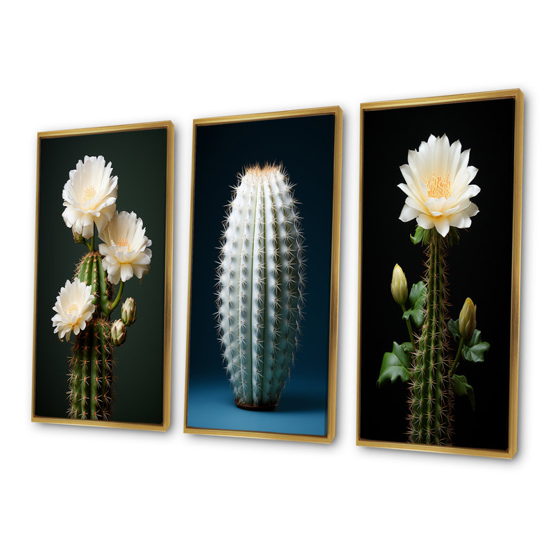 Cactus, isolement ivoire, Cadre flottant doré, H 40 po x l 60 po