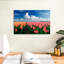 Harnek orange et tulipes roses-108731682