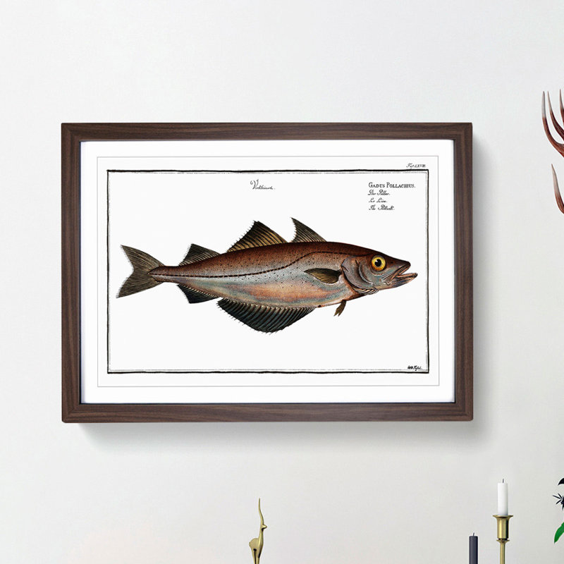 Pollock Fish by M.E. Bloch - Picture Frame Painting Print, 27cm H x 36cm W x 2cm D, Walnut Framed