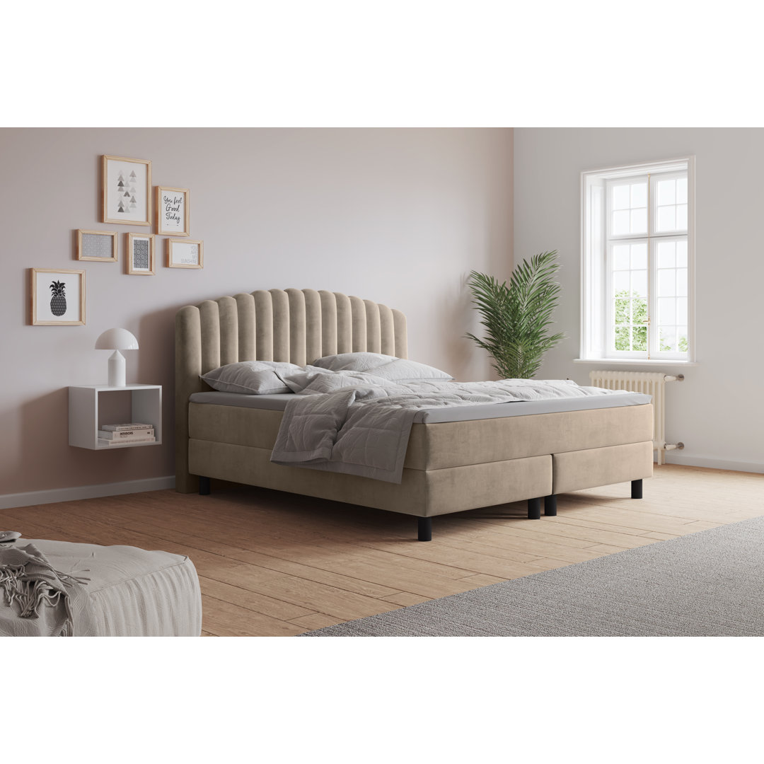 Boxspringbett Adinath mit Kaltschaum Topper, mit Samtstoff bezogen