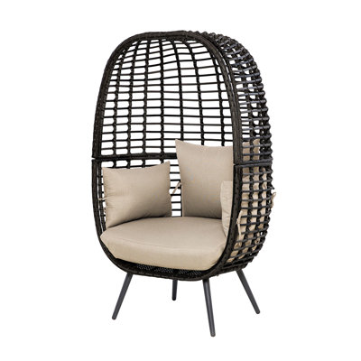 Fairborn Rattan Pod Chair