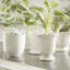 Mirabelle Ceramic Planter