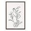 Reproduction d'art botanique sur toile, "No 2" par The Creative Bunch Studio-1290304000-1291211445