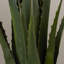 132.08cm Faux Succulent Plant in Planter