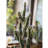 37.4'' Faux Cactus Plant in Cement Planter