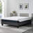 Brayton Platform Bed Frame 13" Height with Fabric Upholstery-33416370