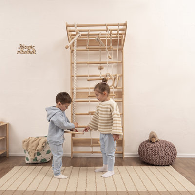 Swedish Ladder With Accessories