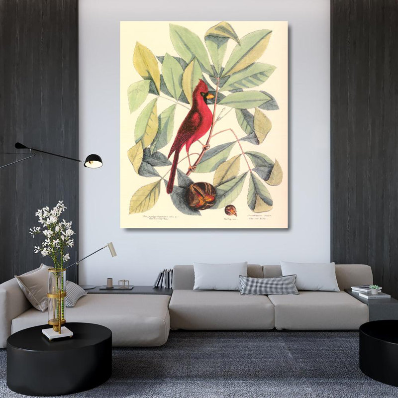 Oiseau et hiccory