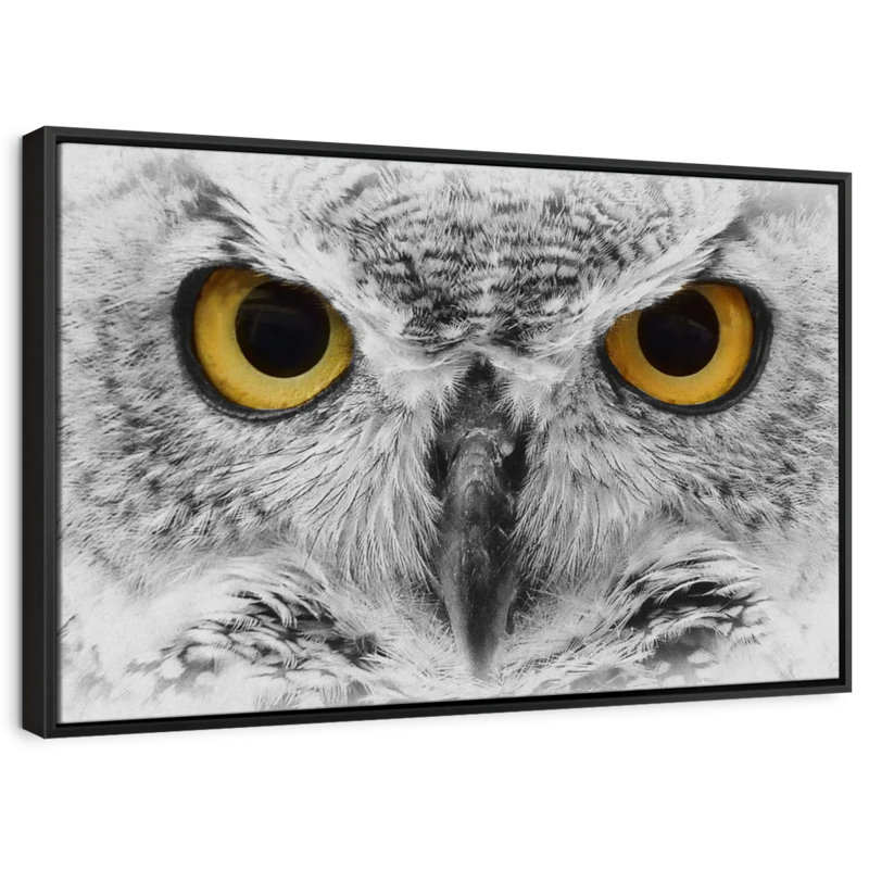" Gazing Bold Owl Canvas Print ", 9" H x 13" W