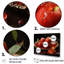 «Judaism Rosh Hashanah Apple Radiance I», reproduction sur toile-1478598384-1478598391