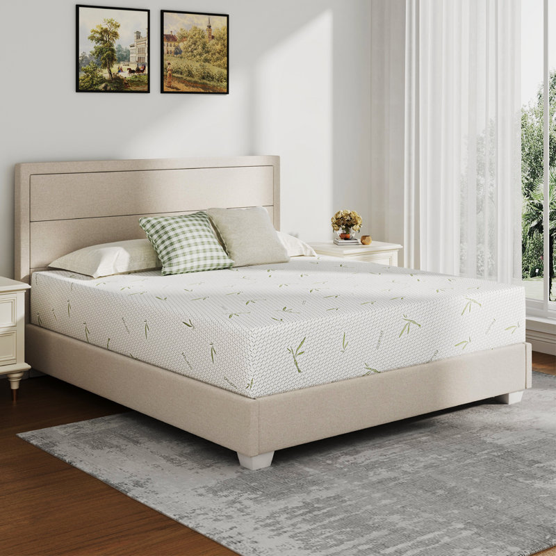 Matelas en mousse viscoélastique imprégnée de gel avec housse en rayonne de bambou 8 po Glenni, Très grand californien, 10"
