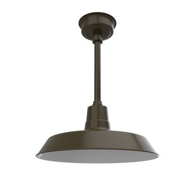Luminaire suspendu en forme de dôme à 1 lumière DEL Haleigh