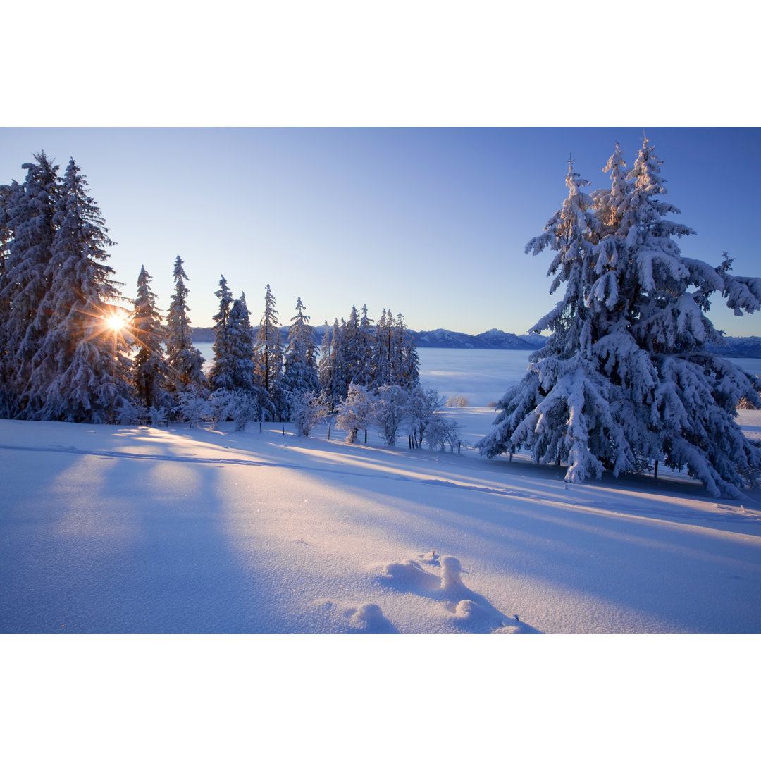 Bäume in einer schneebedeckten Winterlandschaft von Wingmar - Kunstdrucke ohne Rahmen auf Leinwand