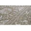 Oriental Area Rug
