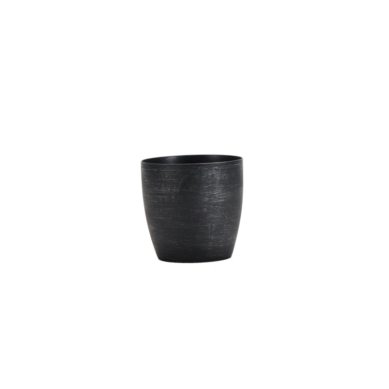 Live Golden Pothos Plant in Classic Pot, Brushed Silver