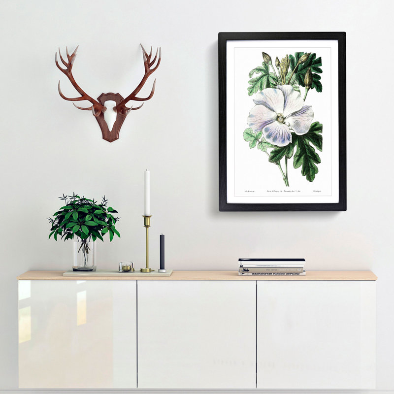 White Hibiscus Flower - Framed Print, 48cm H x 36cm W x 2cm D, Black Framed