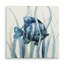 «Fish in Seagrass I» - Impression-40496764-120017853-22679155