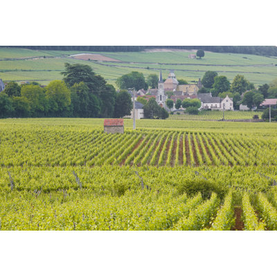 Beaune Vineyards by Quisait - Wrapped Canvas Print