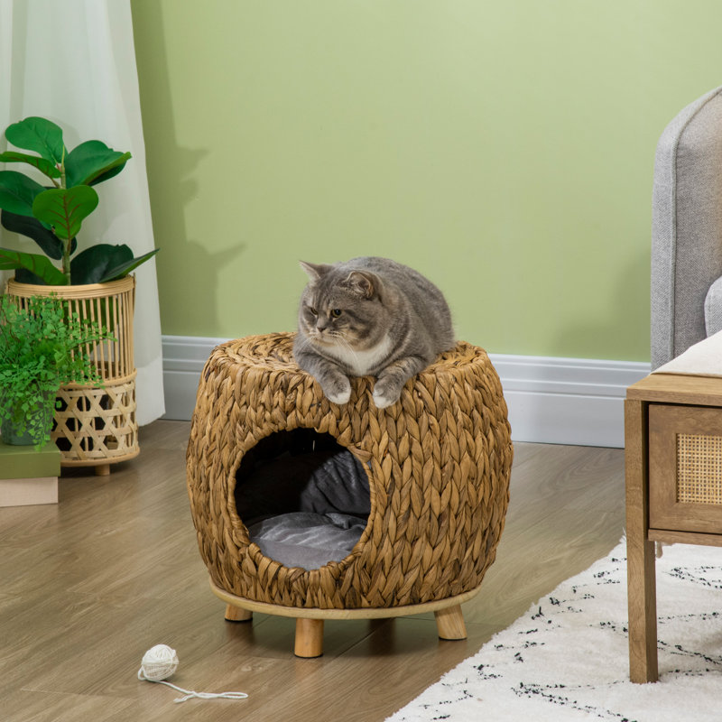 Lit pour chat en osier avec coussin lavable, lit pour animal surélevé, brun clair