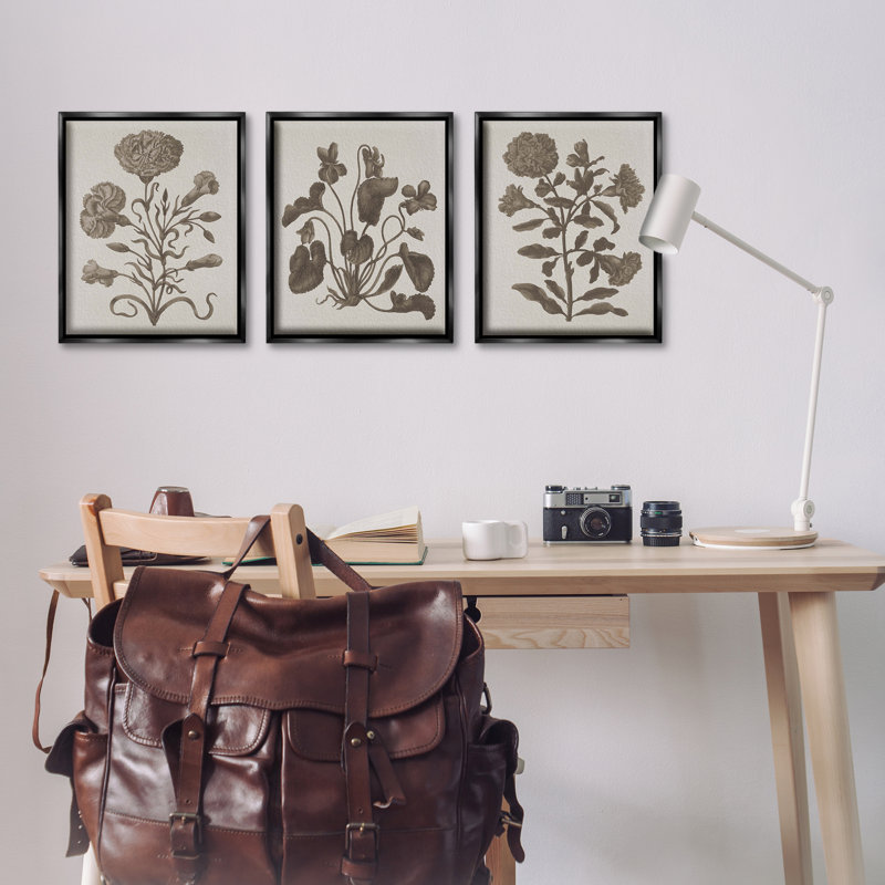  Ensemble de 3 toiles flottantes Vintage Country Botanicals par Lil 'Rue, Cadre flottant noir de jais, H 21 po x l 17 po