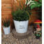 Metal Plant Trays/ Stands