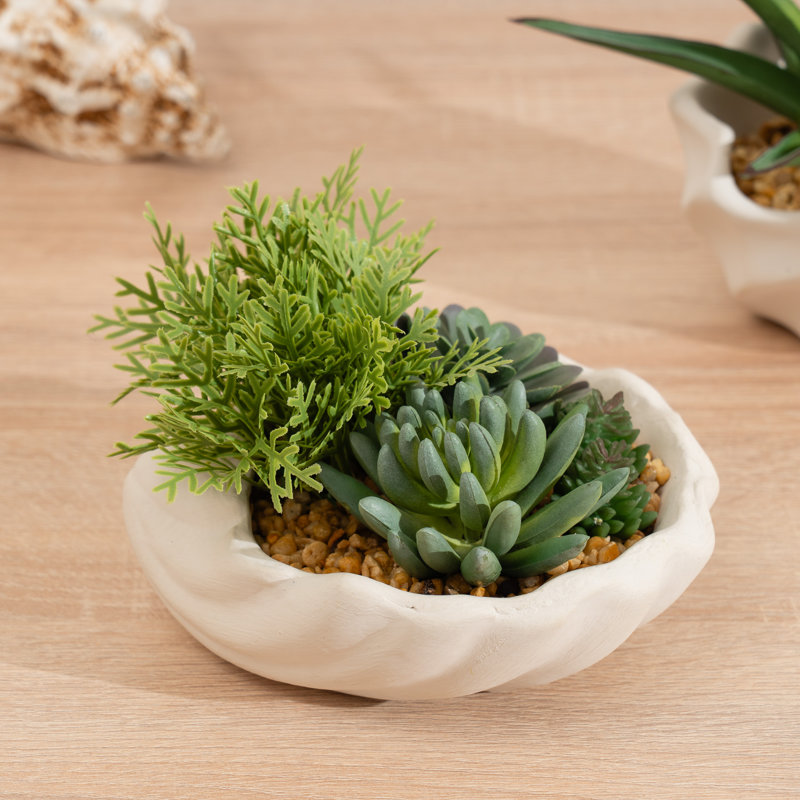 11cm Faux Succulent Garden Shell