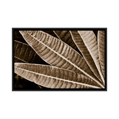 Albree Modern, sépia, feuilles, impression sur toile